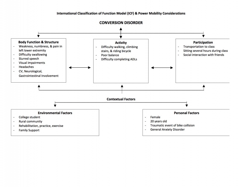File:International Classification of Function Model for Case.jpg