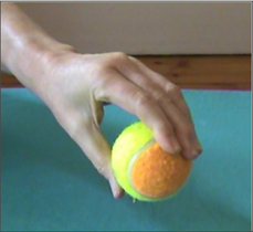 https://www.physio-pedia.com/images/thumb/f/fd/Lumbrical_grip.png/229px-Lumbrical_grip.png